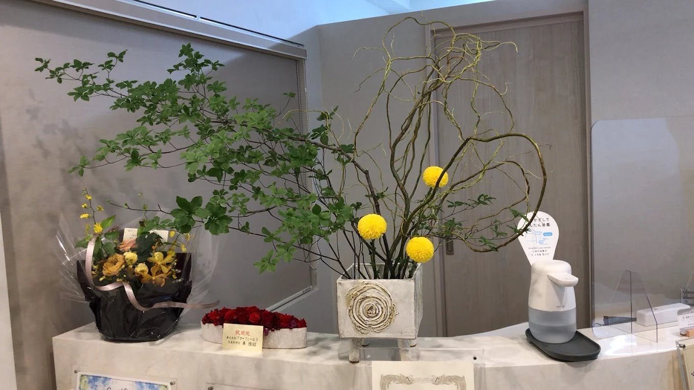 銀座スピンクリニックの店舗画像