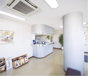 矢野皮膚科クリニック受付