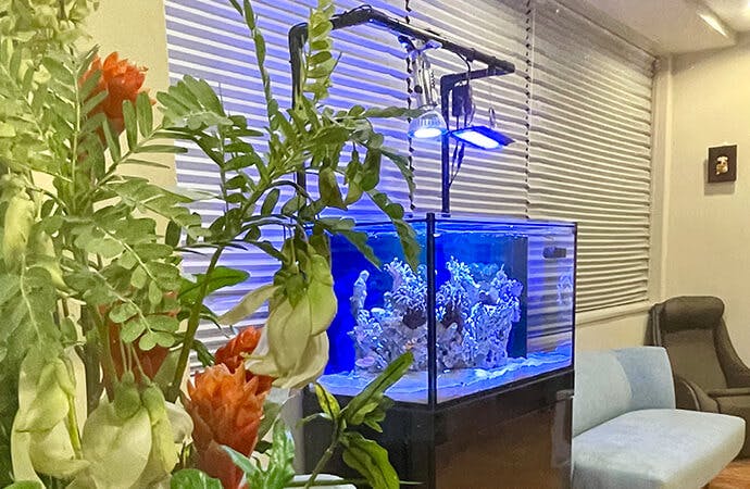 プライム矯正歯科待合室