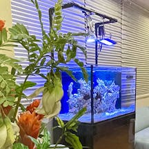 プライム矯正歯科待合室