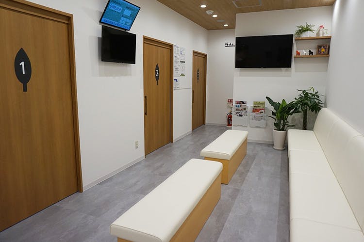 ゆかみ先生の皮ふ科待合室