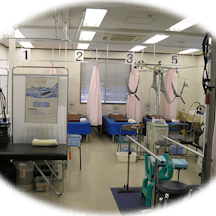 ささもと整形外科・形成外科クリニック処置室