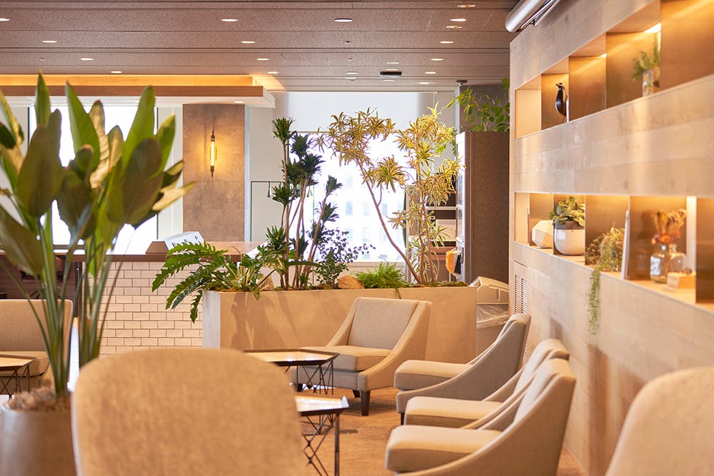 秋田形成外科待合室