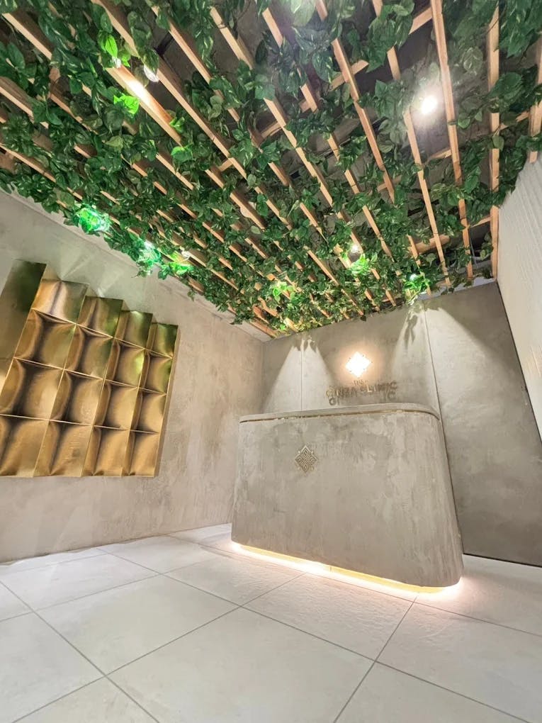 THE GINZA CLINICの店舗画像
