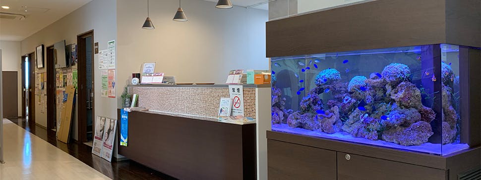 成山ひだまりクリニック内観