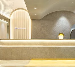 レジーナクリニック 銀座院