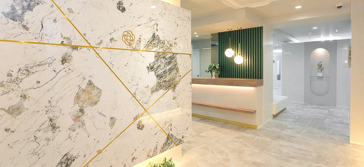 カメリア美容皮フ科入口