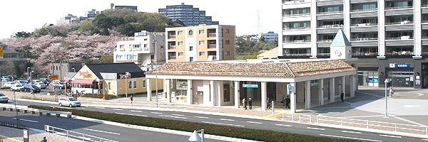 港北皮ふ科クリニック外観