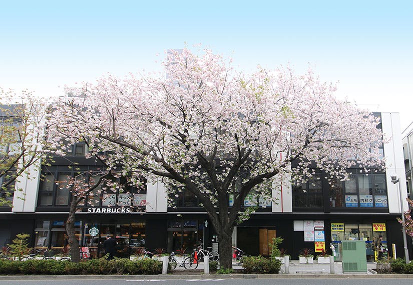 とも内科クリニック外観