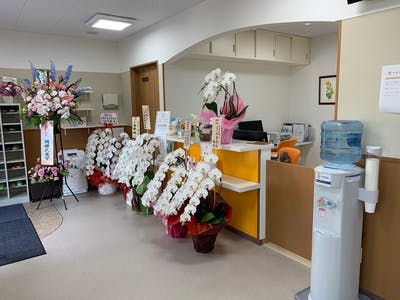 やまざき皮ふ科受付