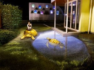 野口皮膚科医院庭