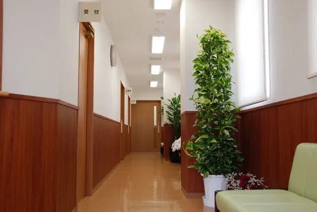 麻生形成外科クリニック廊下