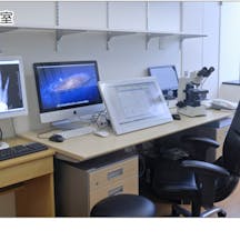 築地皮膚と手のクリニック診察室