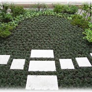 あいかわ皮ふ科庭