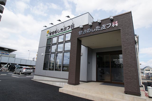 せきのした皮フ科外観